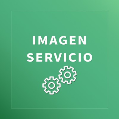 Servicio 1